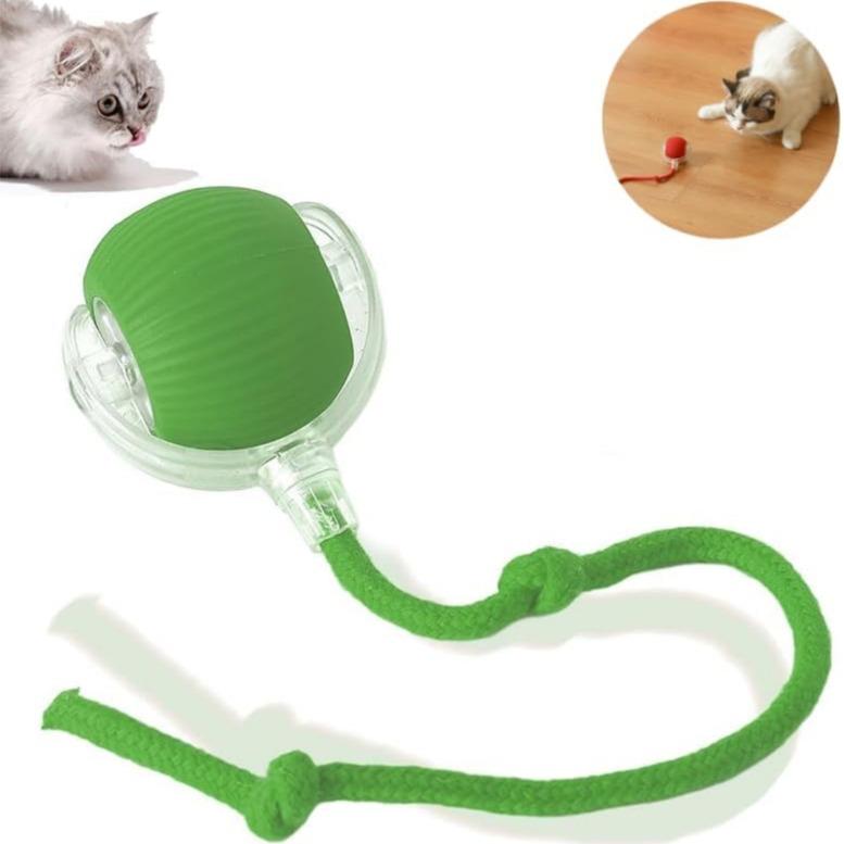 🐈Interactive Cat Dog Ball Toy